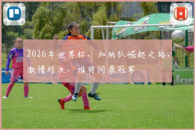 2026年世界杯，加纳队崛起之路，激情对决，谁将问鼎冠军