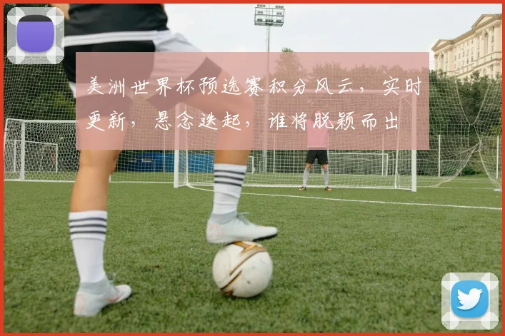 美洲世界杯预选赛积分风云，实时更新，悬念迭起，谁将脱颖而出